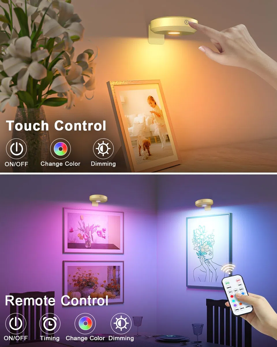 WILLED Illuminazione per immagini senza fili, illuminazione da parete senza fili, batteria LED spot con telecomando, lampada per immagini ricaricabile con 9 colori RGB, illuminazione a LED con timer