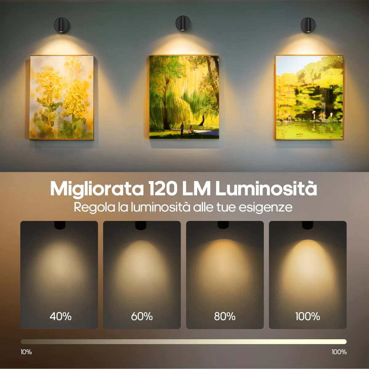 GOODEA Faretto a Batteria Interna 3000mAh,Lampada da Parete Senza Fili Ricaricabile,3 Colori Regolabili, Telecomando con Timer, Nero | Illuminazione per Quadri e Piante