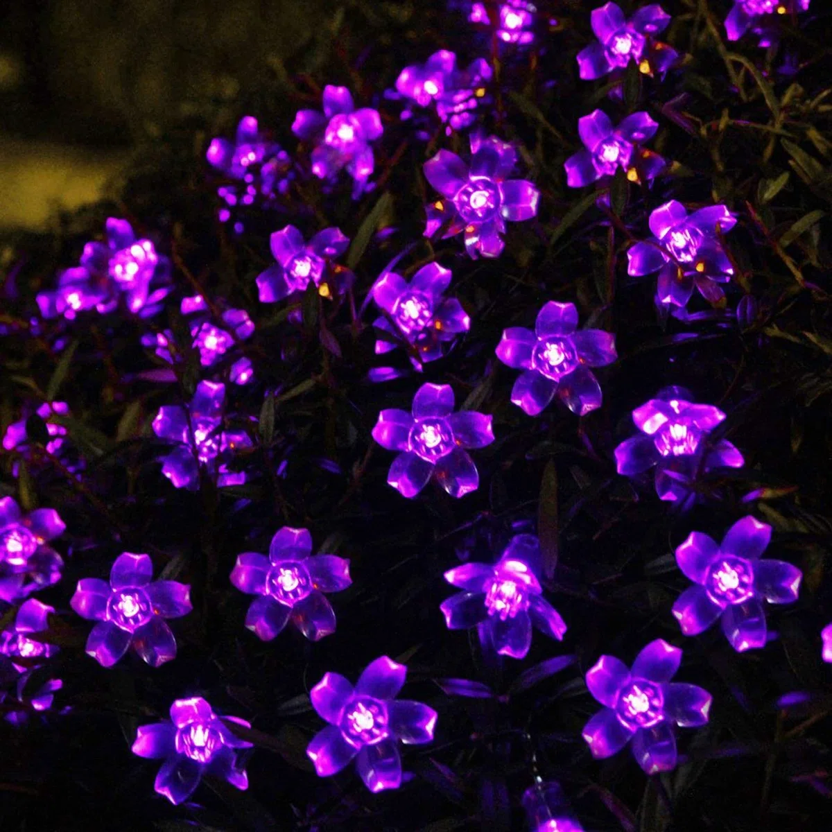 KINGCOO Catena Luminosa Stringa Luci Fiore Solare Esterna,Impermeabile 21ft 50LED Fiore di Pesca Ciliegio Luci di Stringa Solare Fata per Case Giardini Decorazioni Natalizie Feste(Viola)