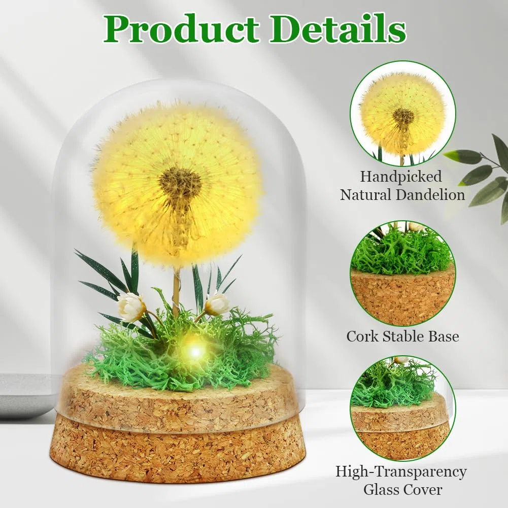 Vero Dente di Leone in Vetro, Regali Decorativi in Vetro con Catena Luminosa a LED, Conservato in Modo Permanente, Fiore Soffione Regali per Compleanno, Matrimonio, Natale, per Mamma, Amica