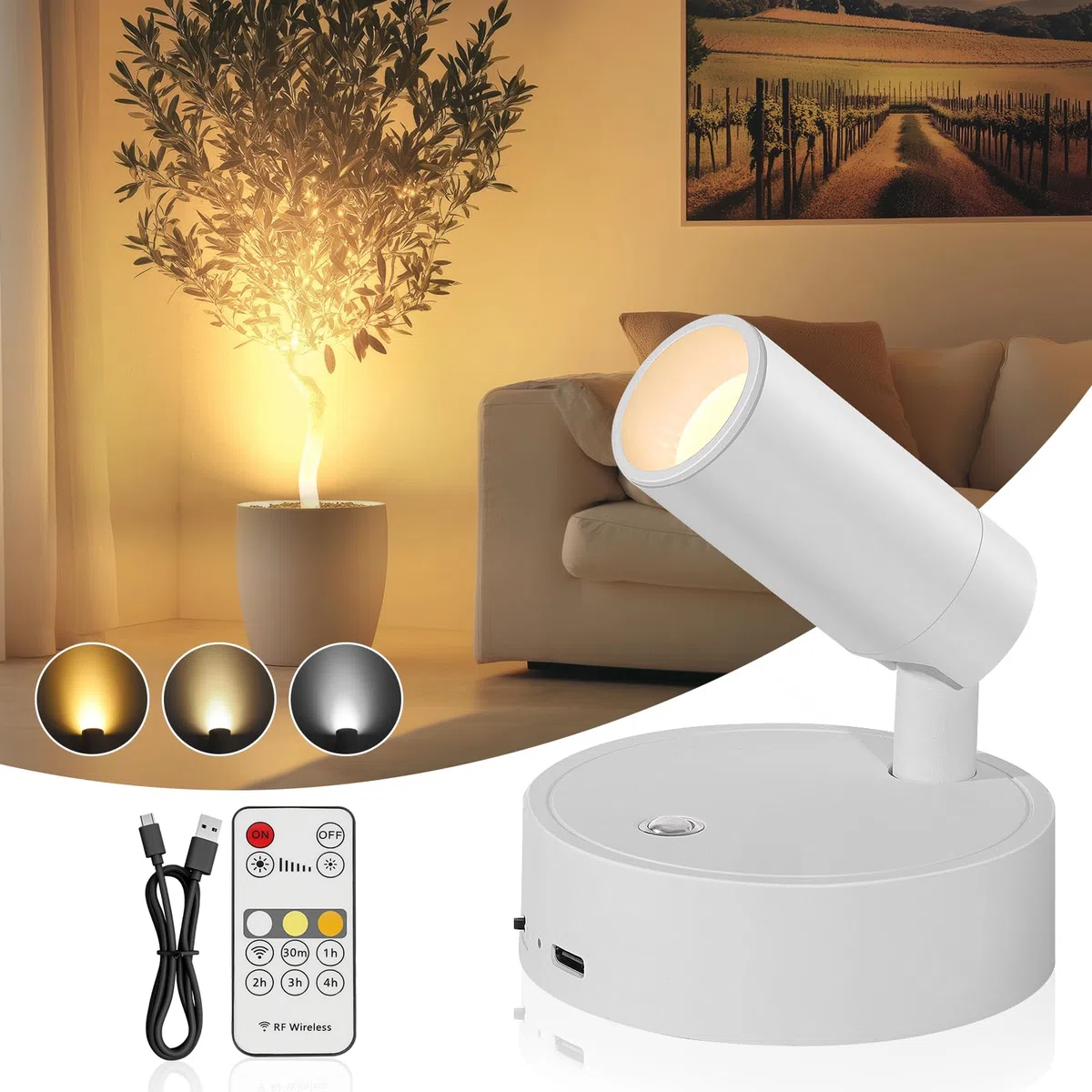 TaoFiaCo Faretti LED Ricaricabili da Parete per Interni Bianco - Lampada da parete USB con Telecomando 3 Colori Dimmerabili - Faretto LED Wireless per Illuminazione di Quadri Piante Camera da Letto