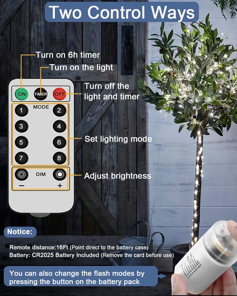Joycome Fascio di Luce 2m 200 LED Luci a Cascata, 8 modalità di Illuminazione Catena Luminosa, Impermeabili Luci Decorative Stringa con Telecomando per Natale Festa Matrimonio ((Bianco Freddo)
