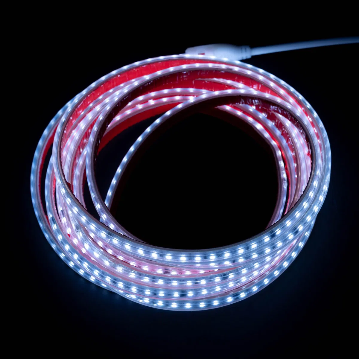 Striscia Led 220v 2835 120 Led/m ALTA LUMINOSITÀ, Adesivo e INTERRUTTORE. IMPERMEABILE Bianco freddo/Neutro/Caldo Waterproof IP67 striscia (Bianco Freddo, 1M)
