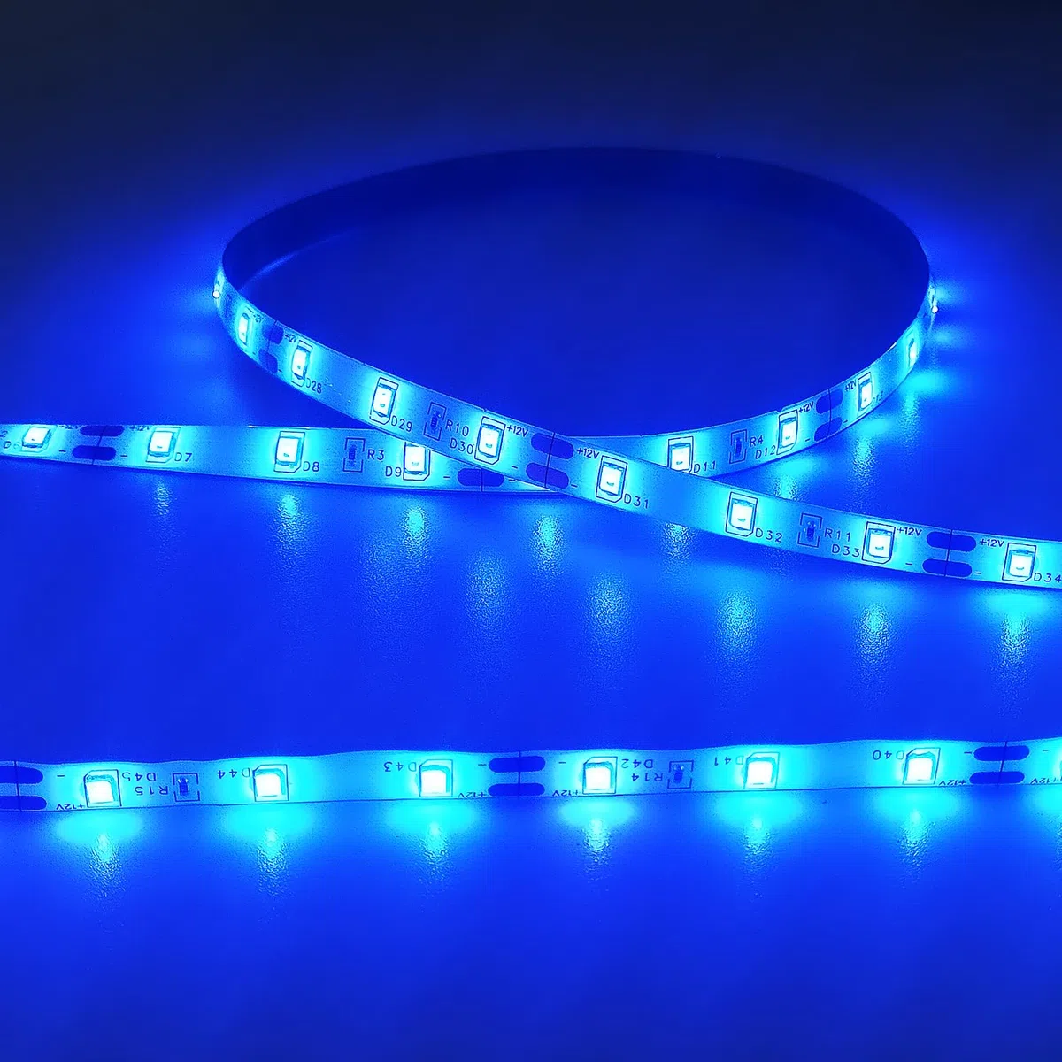 Striscia LED 5 Metri 12V Blu, Luci LED Striscia Luminoso IP65 Impermeabile 300LEDs Strisce LED Flessibili per Interno Esterno Cucina Hotel Natale Decorazione (con Alimentatore)