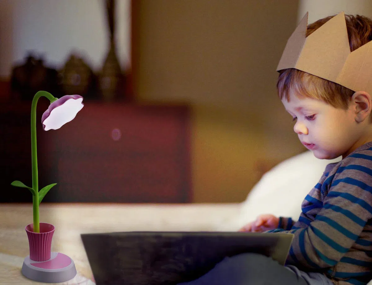 Raking Lampada da scrivania per bambini, led lampada da tavolo per bambini decor lampada, lampada touch ricaricabile usb, luce da lettura da libro cura degli occhi, con portamatite (rosa)
