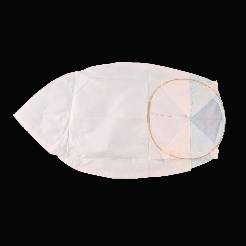 10PCS Cinese Lanterne di Carta Lampada per Feste e Matrimoni, Bianco, Confezione