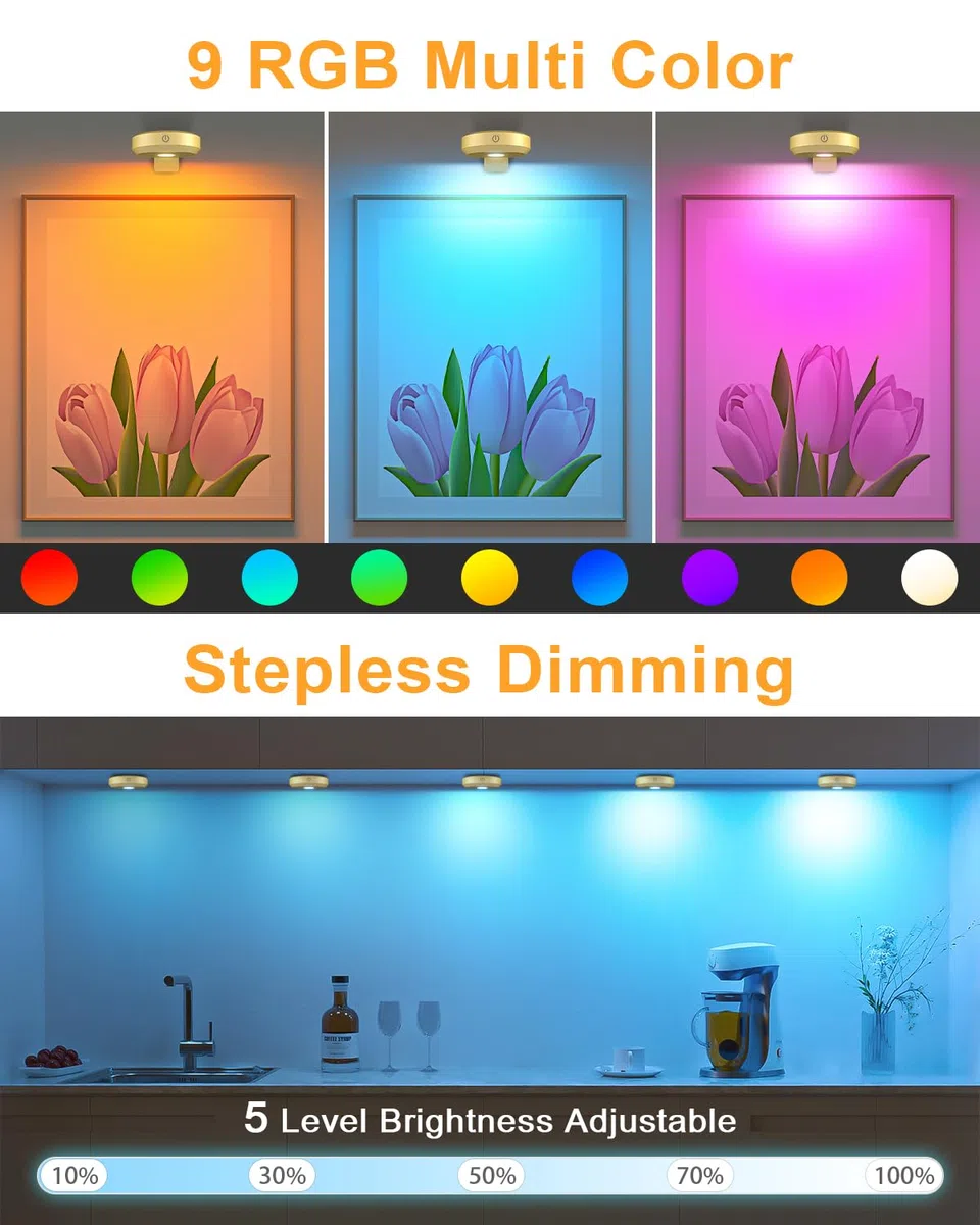 WILLED Illuminazione per immagini senza fili, illuminazione da parete senza fili, batteria LED spot con telecomando, lampada per immagini ricaricabile con 9 colori RGB, illuminazione a LED con timer