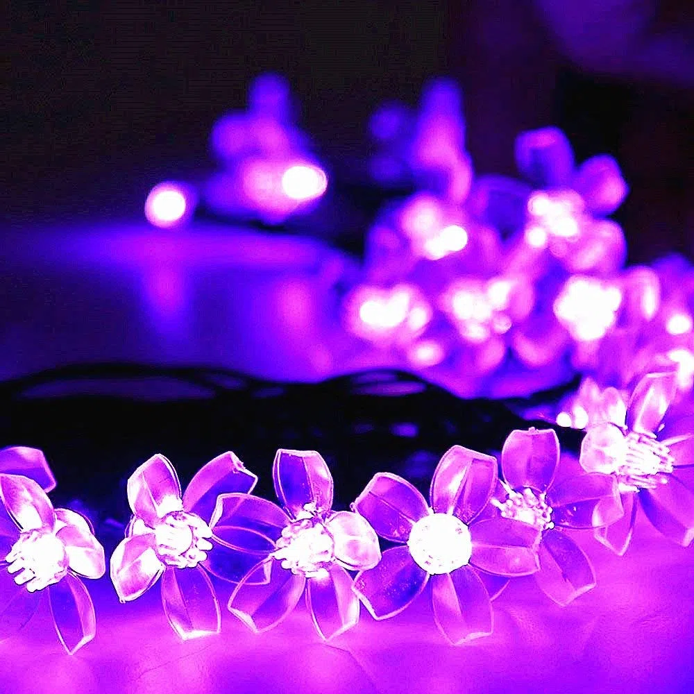 KINGCOO Catena Luminosa Stringa Luci Fiore Solare Esterna,Impermeabile 21ft 50LED Fiore di Pesca Ciliegio Luci di Stringa Solare Fata per Case Giardini Decorazioni Natalizie Feste(Viola)